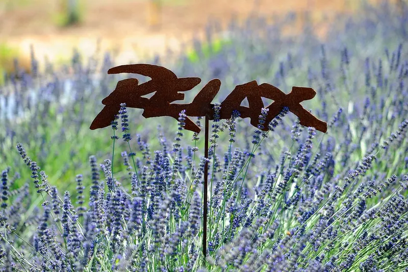 Bluestone Meadow