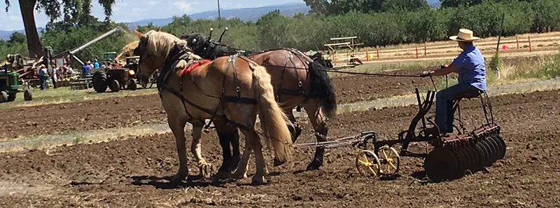 Patrick Ranch Museum