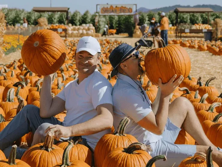 Spina Farms Pumpkin Patch