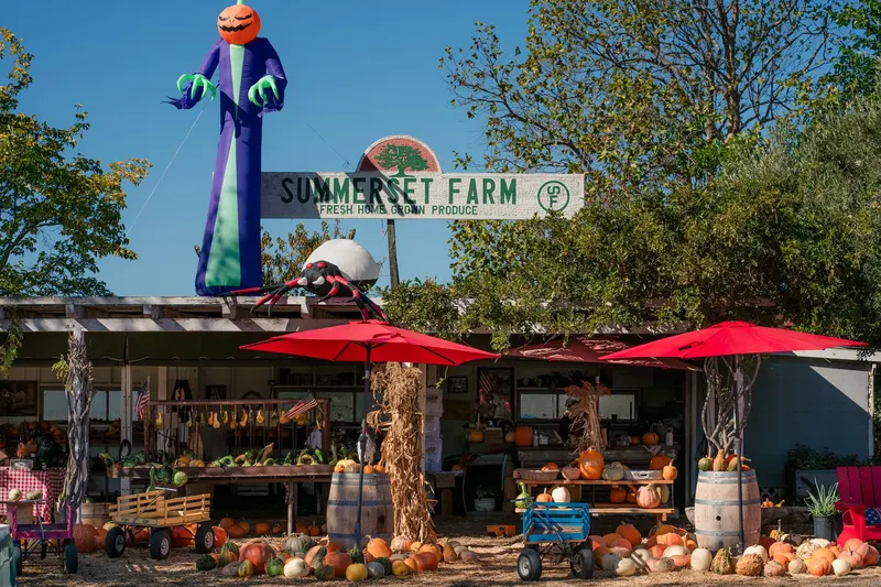 Summerset Farm photo