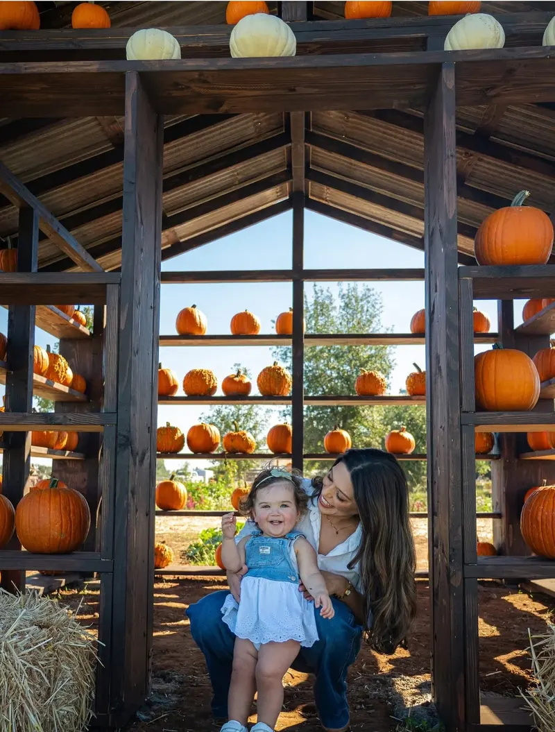 Sweet Thistle Farms photo