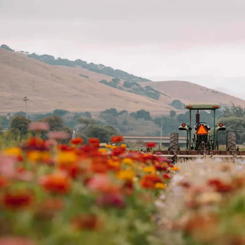 The Farm in Salinas