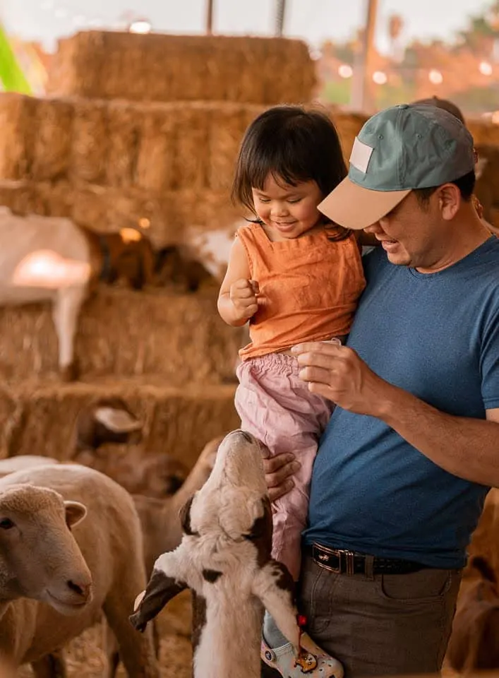 The Pumpkin Factory - Santa Ana (Main Place Mall) photo