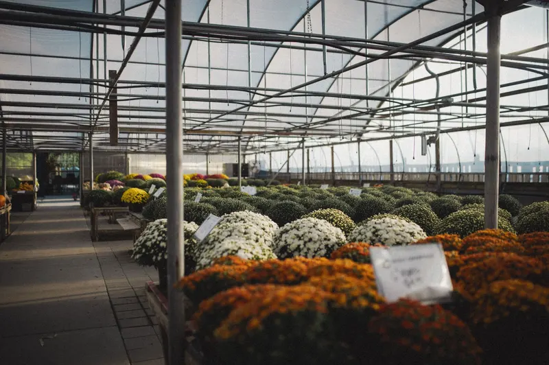 Benoit Greenhouses photo
