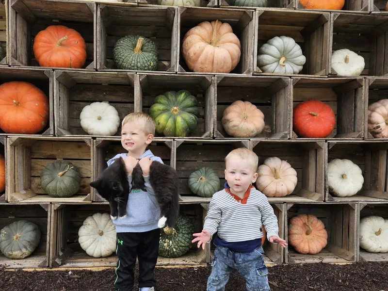 Go-Ro Fresh Farm Market