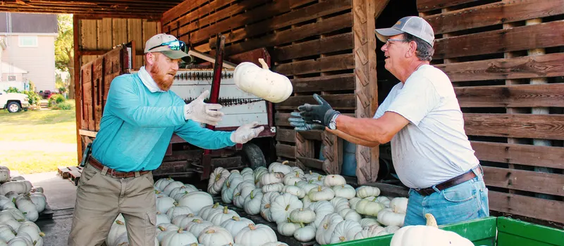 Johnson's Pumpkin Stand & Corn Maze photo