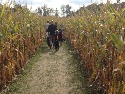 Marlow's Pumpkin Patch photo