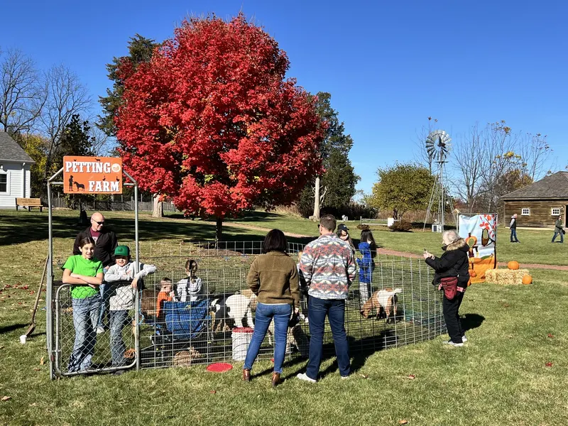 Patch 22, Ltd Pumpkins and Pony rides photo