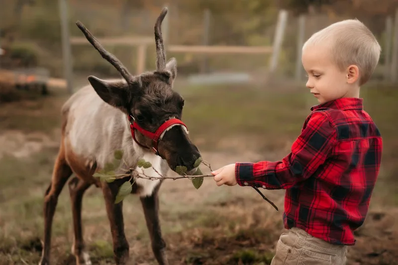 Prairie Moon Farm photo