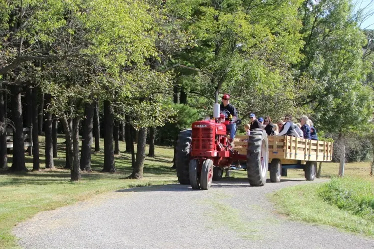 The Children's Farm at The Center