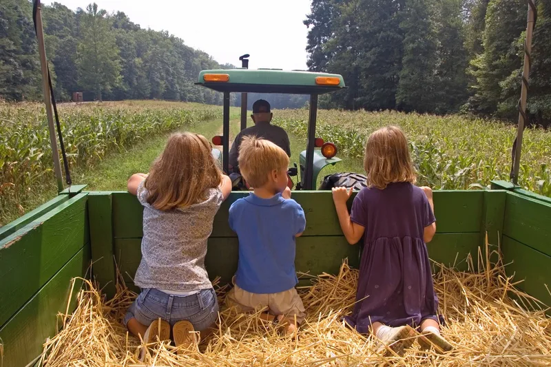 North Folk Farms - Amazing Fall Fun