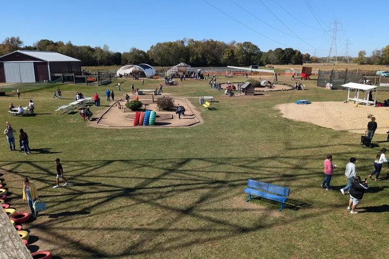 Thistleberry Farm photo