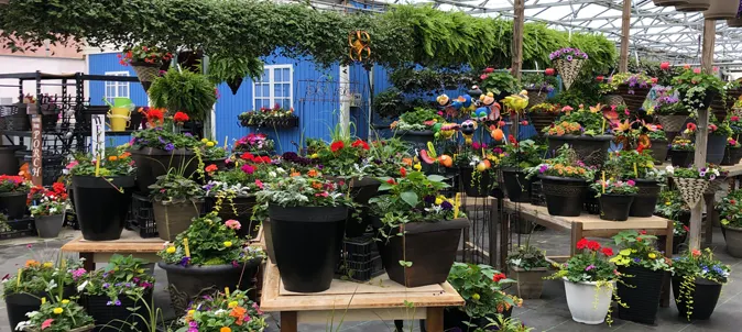 Barbott Farms