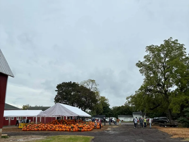 Barkham Creek Farms