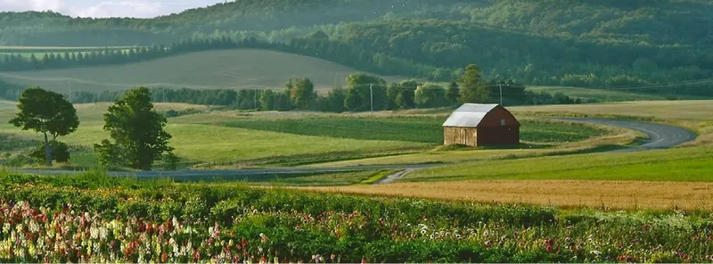 Bill's Farm Market
