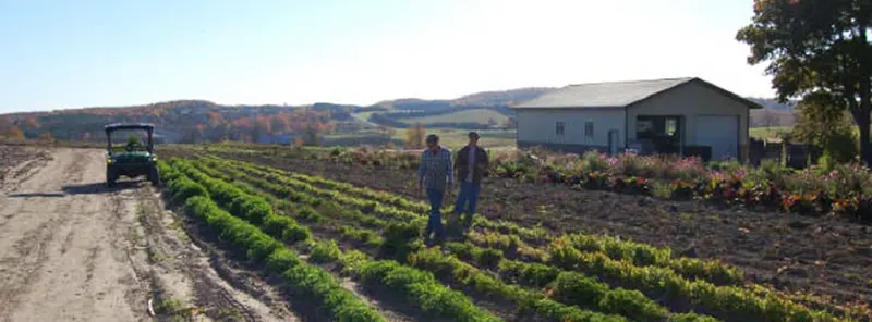 Bill's Farm Market photo