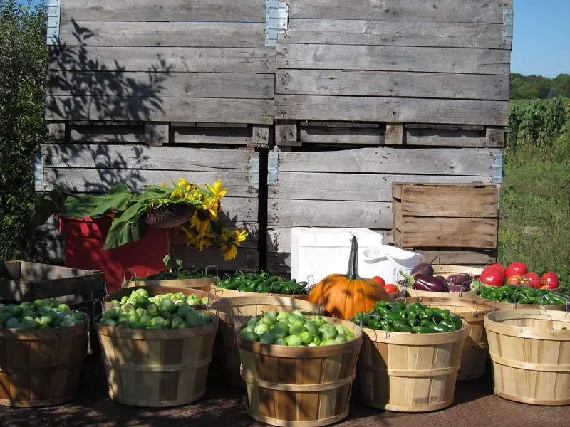 Earth First Farms