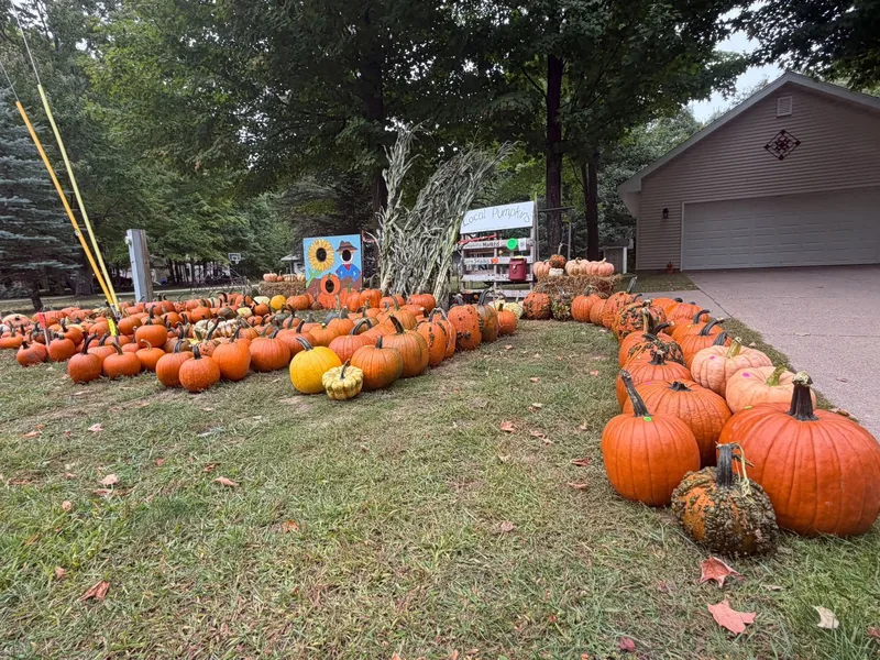Grandma O's Pumpkin Patch