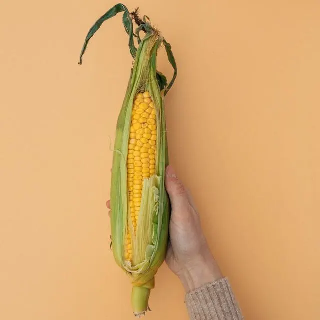 Harvest Time Farm Market