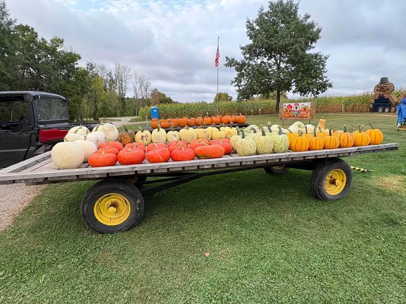 Hofer's Pumpkin Patch photo
