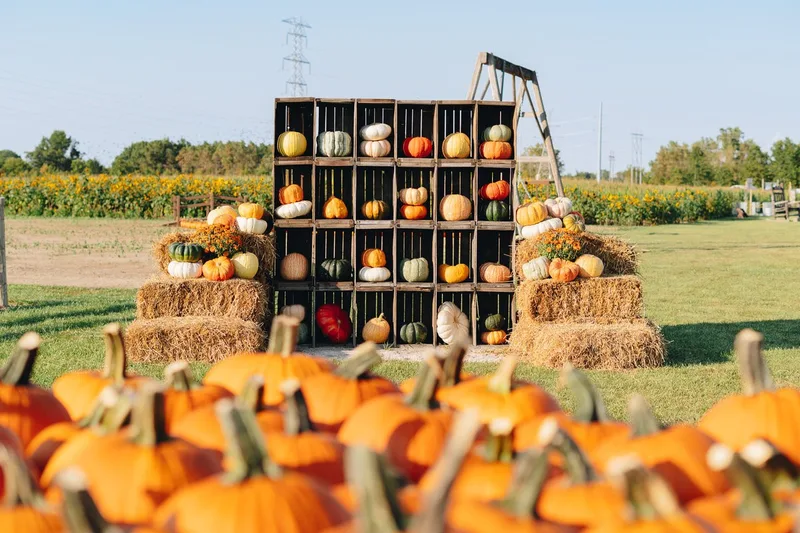 Kackleberry Farms photo