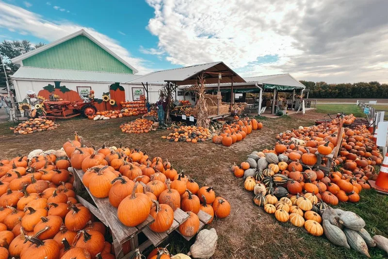 Leaman's Green Applebarn