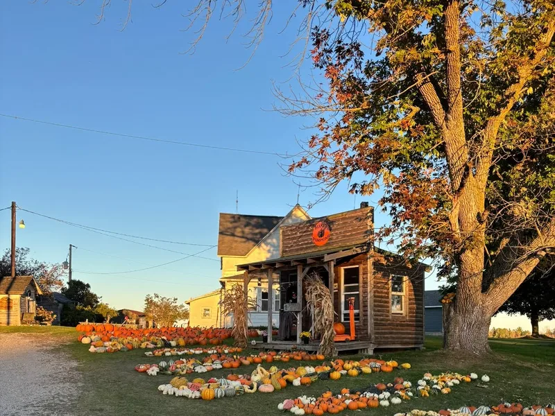 Maki Pumpkins and Produce photo