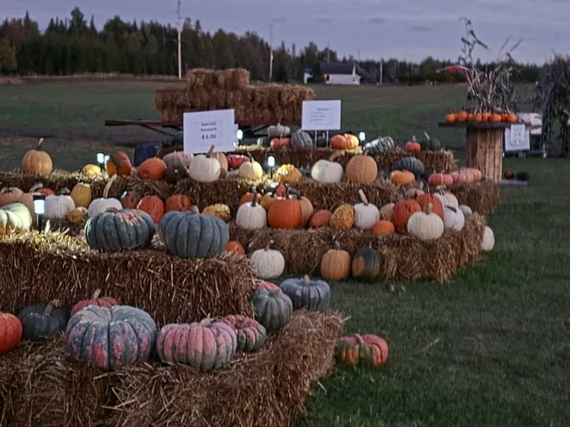 Marenger's - Harvest Acres Farm