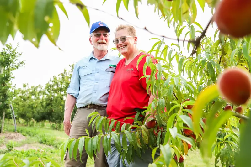 Rennhack Orchards Market photo