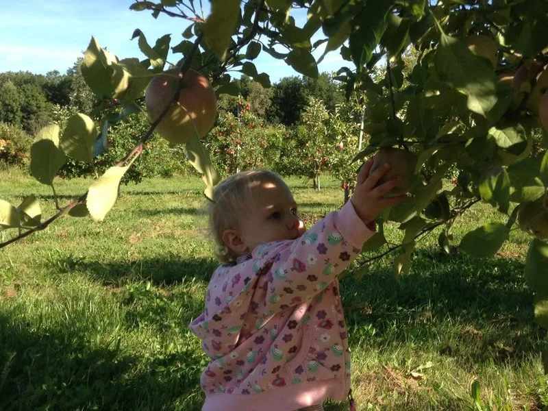 Wasem Fruit Farm