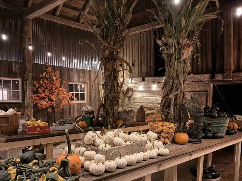 Zawada Farms photo