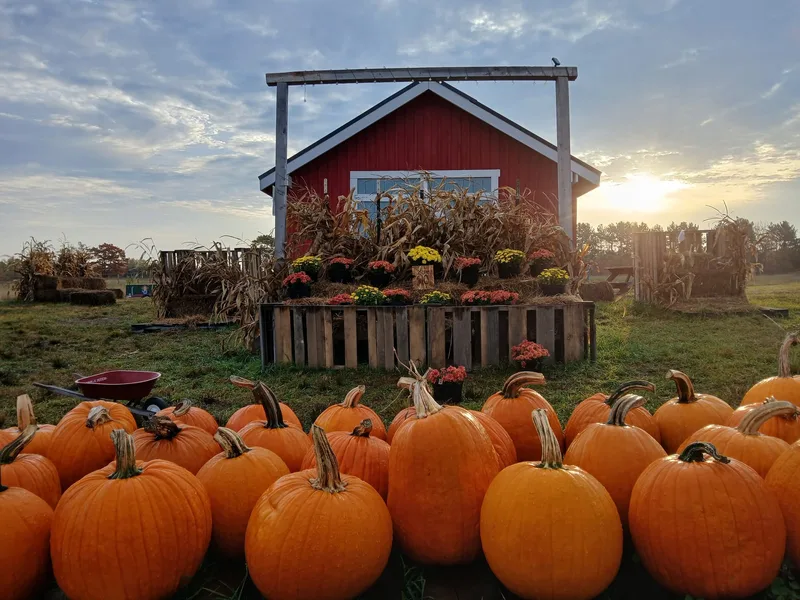Zwart Farm photo
