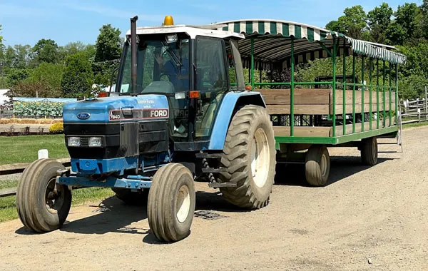 Alstede Farms