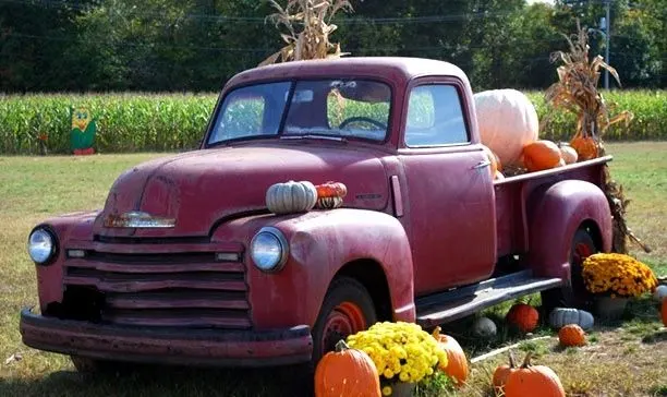 Conklin Farm U-Pick