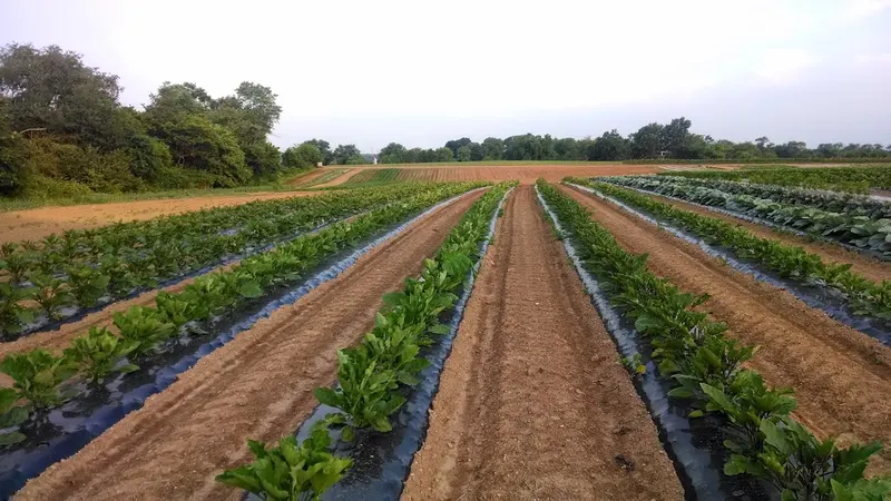 Norz Hill Farm And Market photo