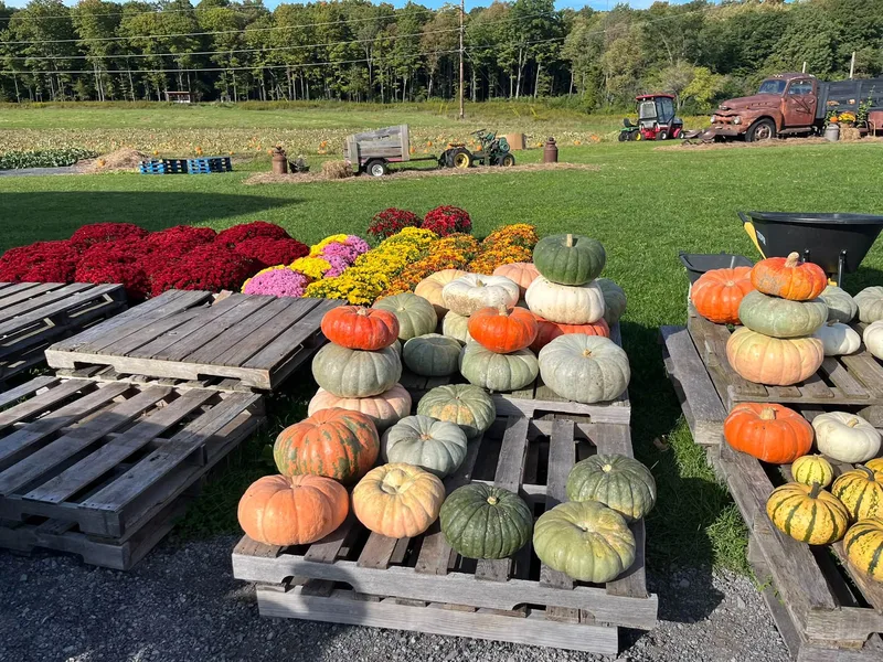 ELMER CREEK FARM photo