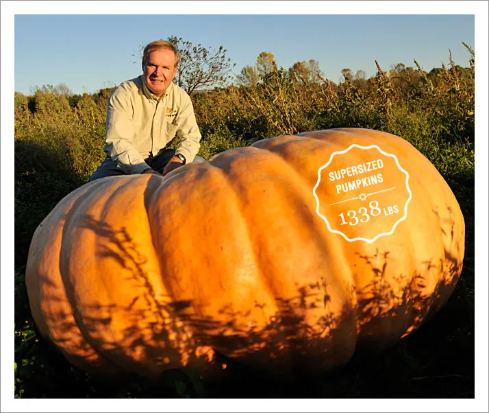 Ford Farm Market photo
