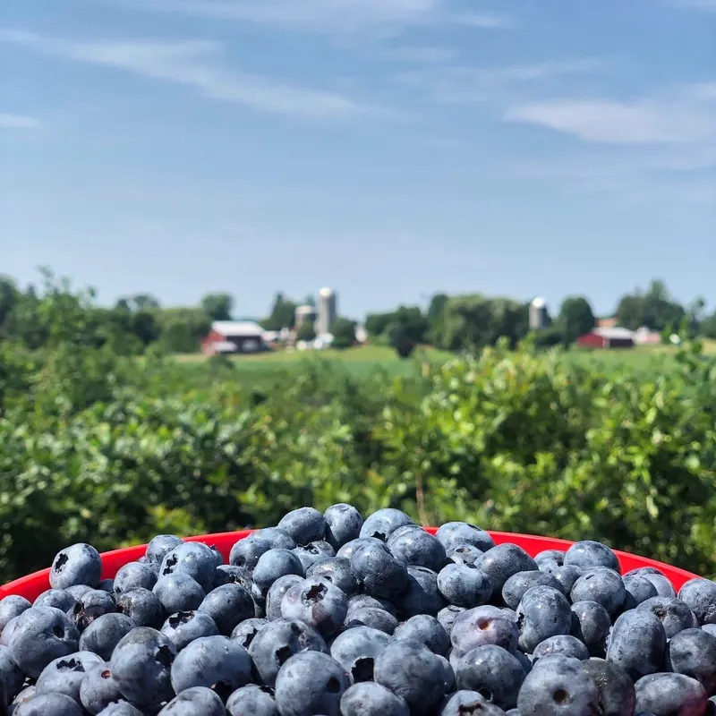 Greig Farm photo