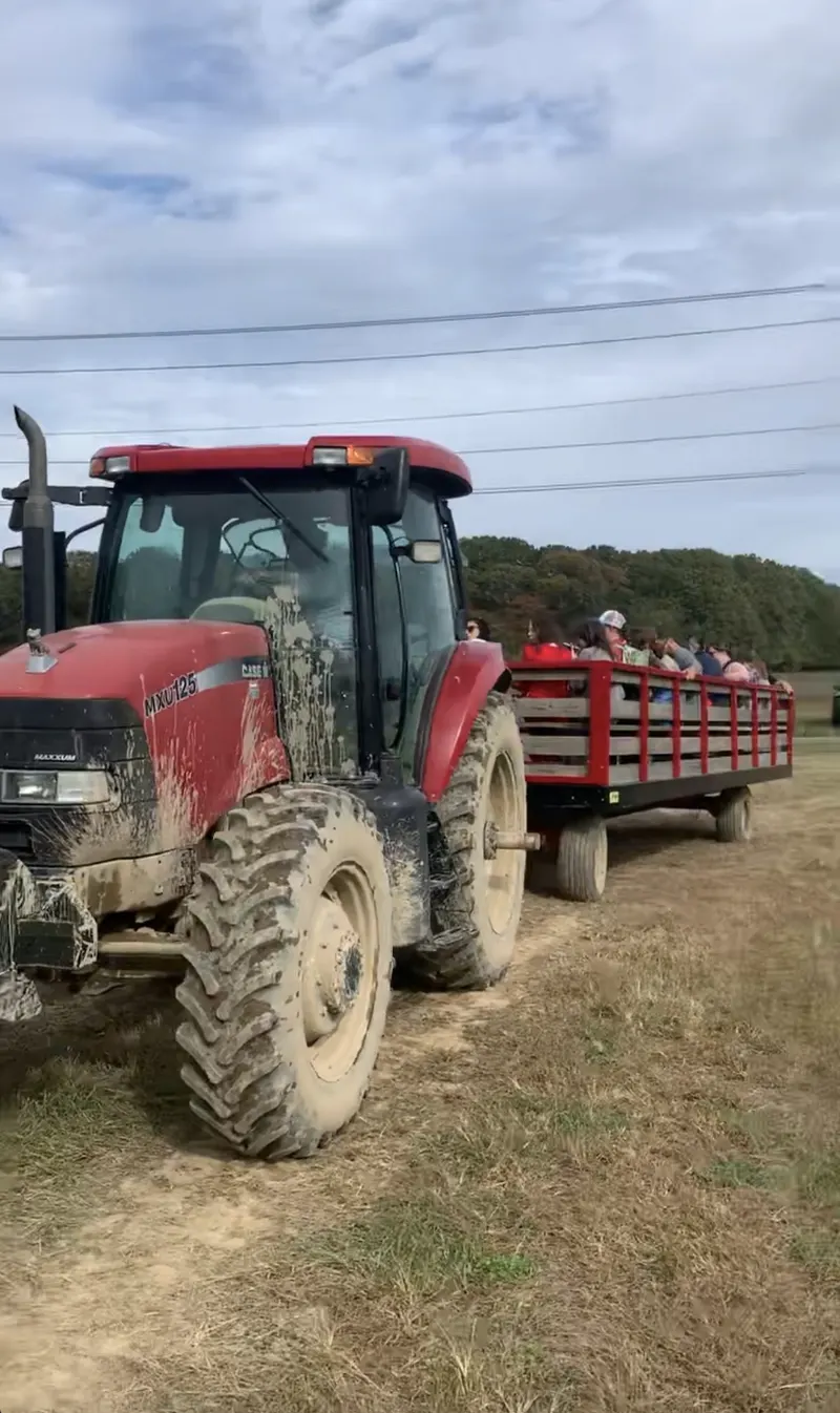Lenny Bruno Farms photo