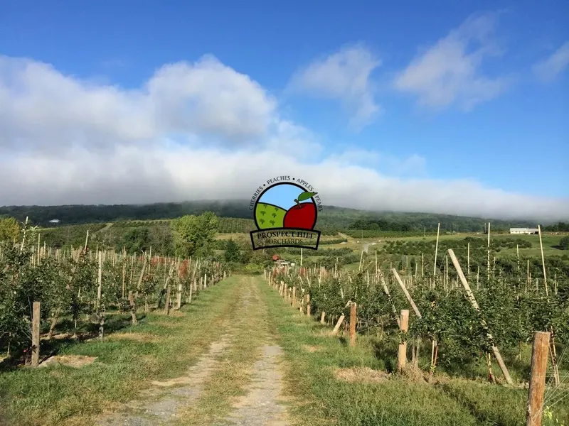 Prospect Hill Orchards-Hilltop Farm