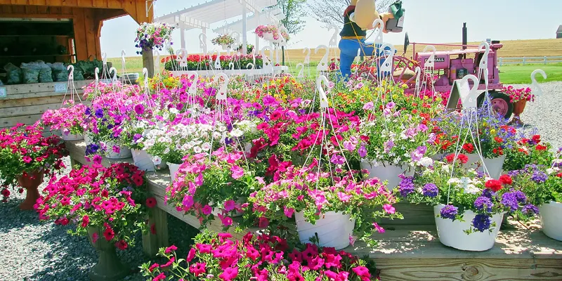 Soundshore Market and Farms