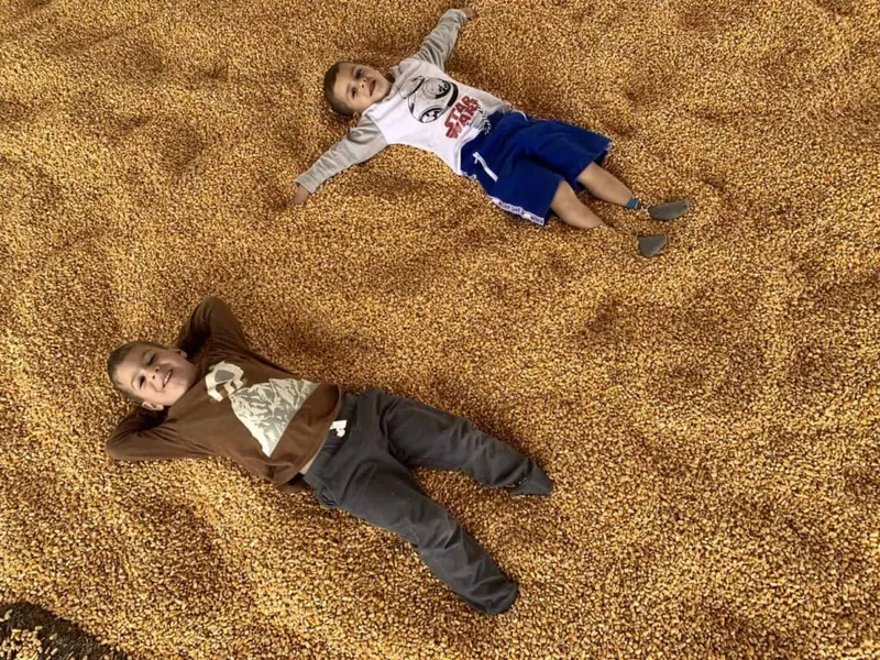 Wickham Farms photo
