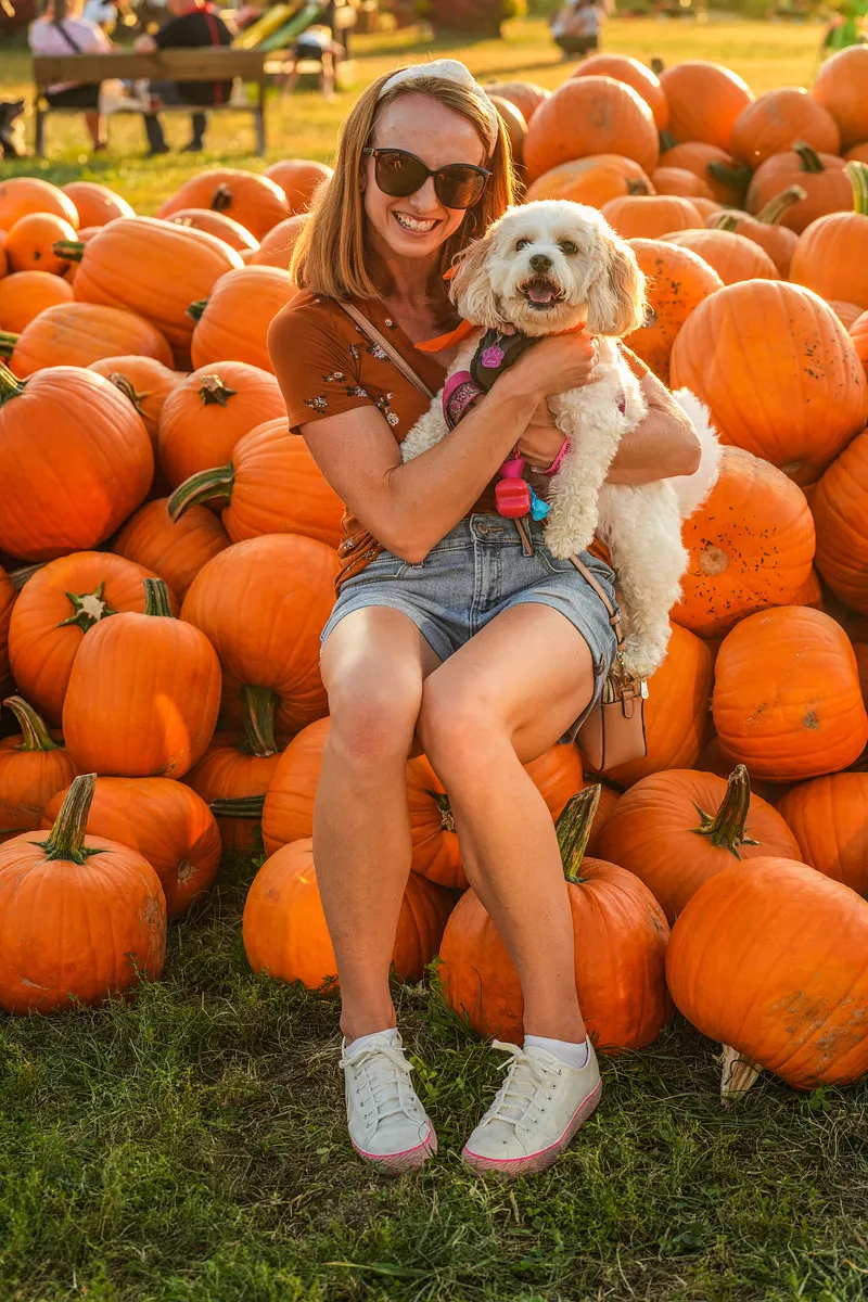 Blooms & Berries Farm Market