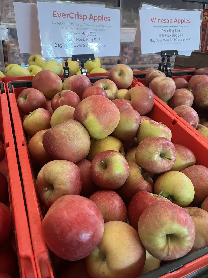 Branstool Orchards