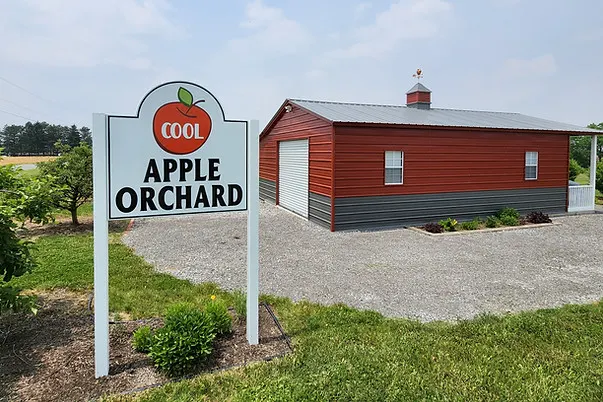 Cool Apple Orchard