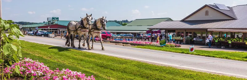 Hershberger's Farm and Bakery
