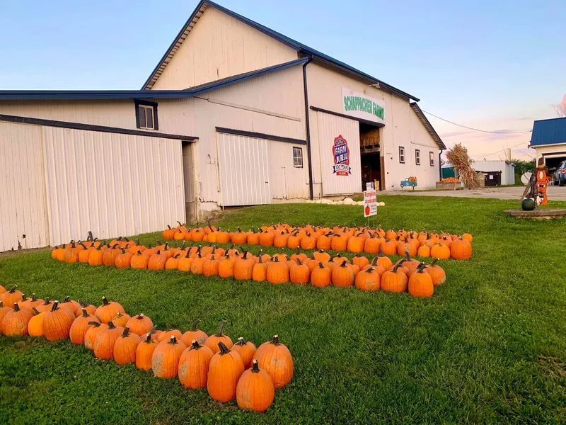 Schappacher Farms