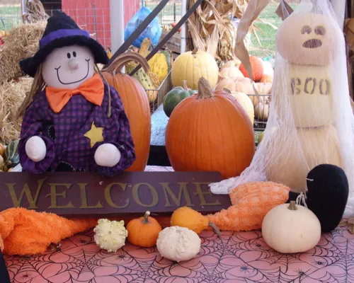 Whistle Hollow Farm