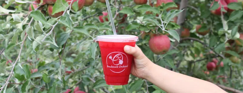 Brecknock Orchard photo
