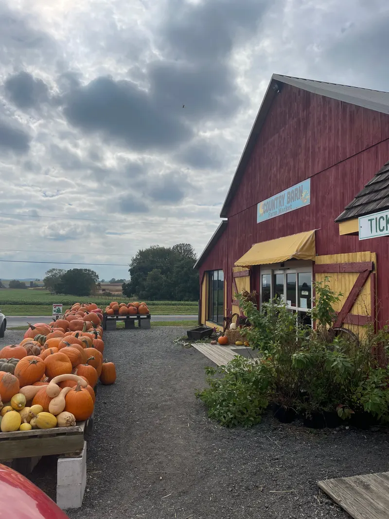 Country Barn photo